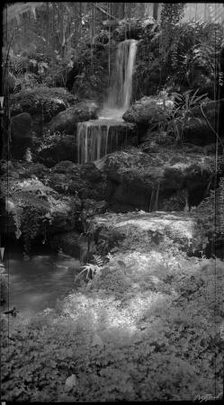 Zeiss Ikon Cocarette 519/15 Sample Photo 003 Zeiss-Ikon-Cocarette-519-15001